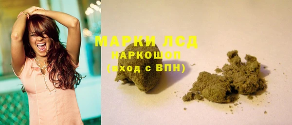 эйфоретик Аркадак