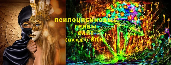 эйфоретик Аркадак
