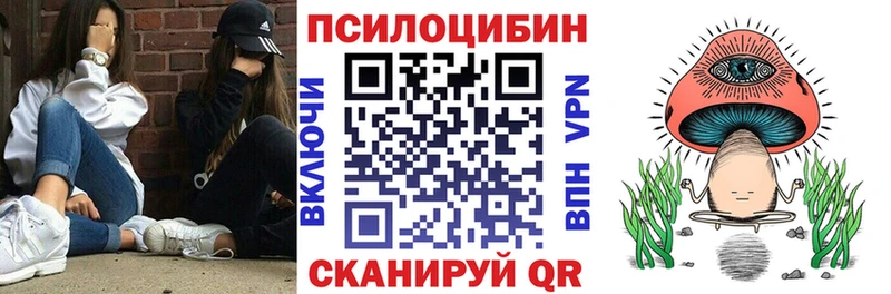 где найти наркотики  OMG ONION  Галлюциногенные грибы MAGIC MUSHROOMS  Скопин 